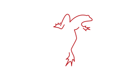 blackfrog design
